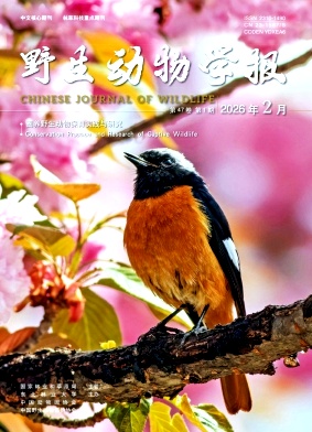 野生动物学报封面